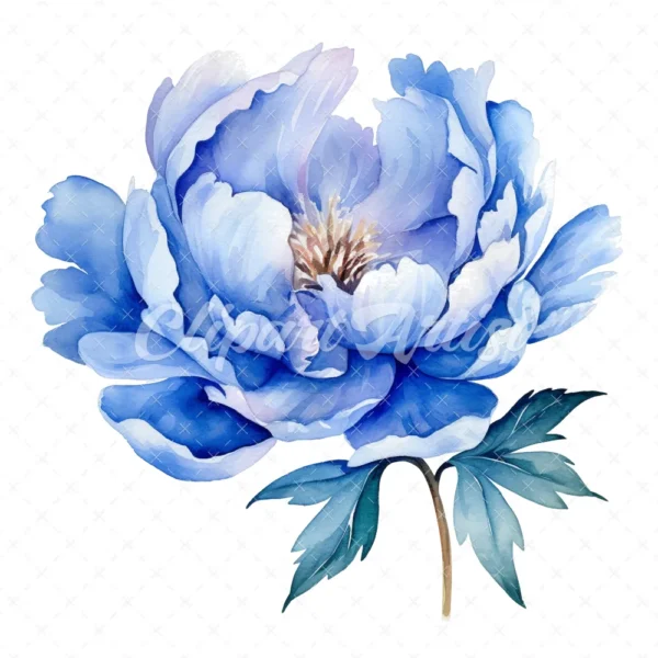 20 High-Quality Blue Peony Clipart - Blue peony flower digital watercolor JPG instant download for commercial use - Digital download