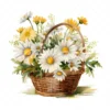 20 High-Quality Daisies Basket Clipart - Daisies basket digital watercolor JPG instant download for commercial use - Digital download