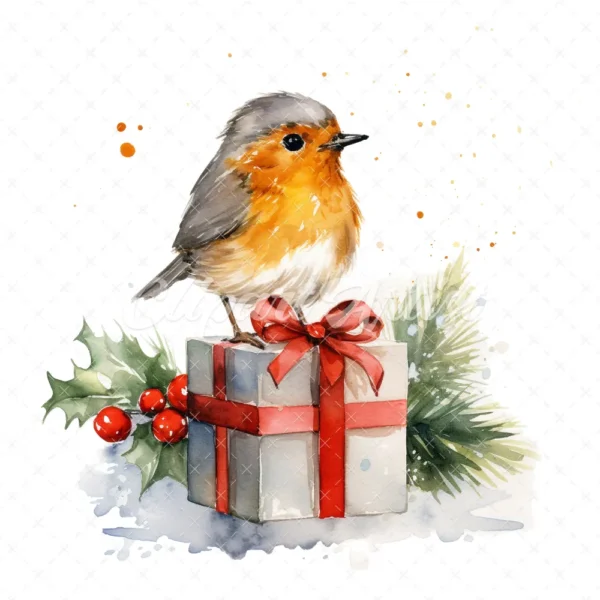 20 High-Quality Robin Bird on Gifts Clipart - Robin bird gifts digital watercolor JPG instant download for commercial use - Digital download