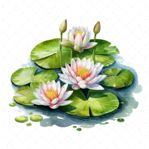 20 High-Quality Lily Pond Clipart - Lily pond digital watercolor JPG instant download for commercial use - Digital download
