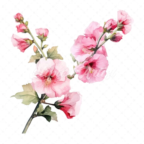 20 High-Quality Hollyhock Clipart - Hollyhock flowers digital watercolor JPG instant download for commercial use - Digital download