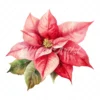 20 High-Quality Poinsettia Clipart - Poinsettia flower digital watercolor JPG instant download for commercial use - Digital download