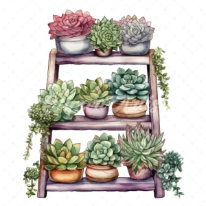 20 High-Quality Succulent Rack Clipart - Succulent rack digital watercolor JPG instant download for commercial use - Digital download