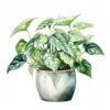 19 High-Quality Pot of Philodendron Clipart - Philodendron digital watercolor JPG instant download for commercial use - Digital download