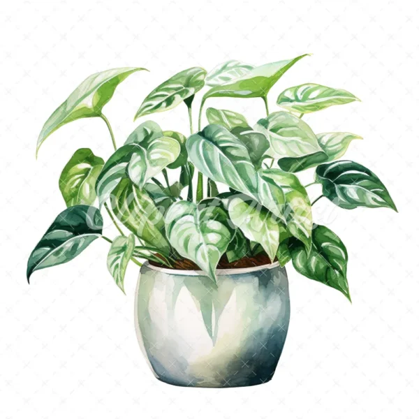 19 High-Quality Pot of Philodendron Clipart - Philodendron digital watercolor JPG instant download for commercial use - Digital download