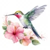19 High-Quality Floral Hummingbird Clipart - Hummingbird digital watercolor JPG instant download for commercial use - Digital download