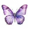 24 High-Quality Purple Butterfly Clipart - Purple butterfly digital watercolor JPG instant download for commercial use - Digital download