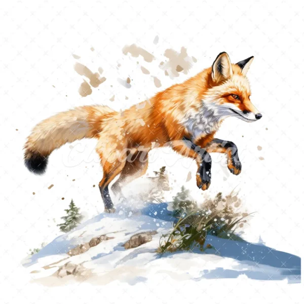 19 High-Quality Pouncing Fox Clipart - Pouncing fox digital watercolor JPG instant download for commercial use - Digital download