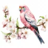 18 High-Quality Pink Bourke Parakeet Clipart - Pink parakeet digital watercolor JPG instant download for commercial use - Digital download