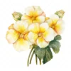 20 High-Quality Primrose Clipart - Primrose flowers watercolor JPG instant download for commercial use - Digital download