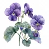 20 High-Quality Violets Clipart - Violets clipart digital watercolor JPG instant download for commercial use - Digital download