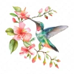 20 High-Quality Floral Hummingbird Clipart - Hummingbird digital watercolor JPG instant download for commercial use - Digital download