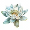 19 High-Quality Delicate Water Lily Clipart - Water lily digital watercolor JPG instant download for commercial use - Digital download