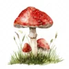 20 High-Quality Clipart - Toadstool digital watercolor JPG instant download for commercial use - Digital download
