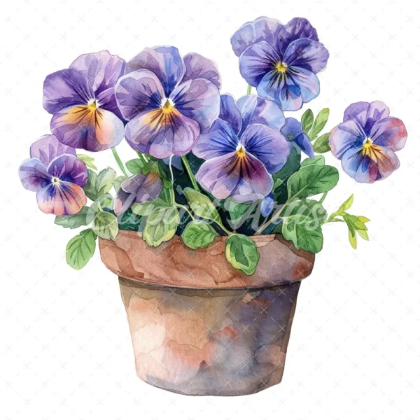 20 High-Quality Pot of Pansies Clipart - Pot of pansies digital watercolor JPG instant download for commercial use - Digital downloadv