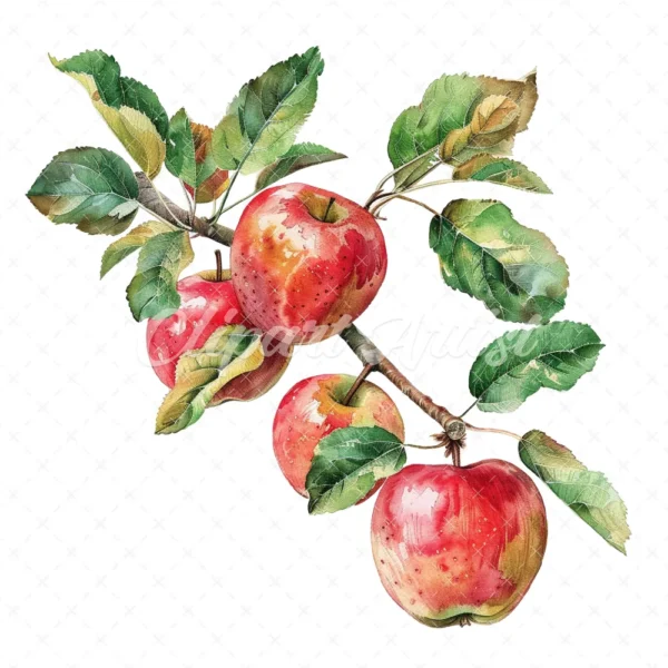 20 High-Quality Apple Branch Clipart - Apple branch watercolor JPG instant download for commercial use - Digital download