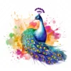 20 High-Quality Rainbow Peacock Clipart - Peacock digital watercolor JPG instant download for commercial use - Digital download