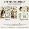 Herbal Wellness Watercolor Clipart Set - 230+ transparent PNG, Lavender apothecary graphics, Springtime art, Commercial use,Digital download