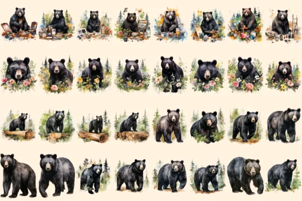 Black Bears Clipart Bundle - 200+ transparent PNG, Woodland creature illustrations, Majestic bear graphics, Commercial use, Digital download