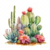 20 High-Quality Desert Cacti Clipart - Desert cacti digital watercolor JPG instant download for commercial use - Digital download