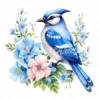 19 High-Quality Floral Blue Jay Clipart - Floral blue jay digital watercolor JPG instant download for commercial use - Digital download