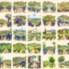 Vineyards Watercolor Clipart Bundle - 233+ transparent PNG, Rustic vineyard landscapes, Wine decor images, Commercial use, Digital download