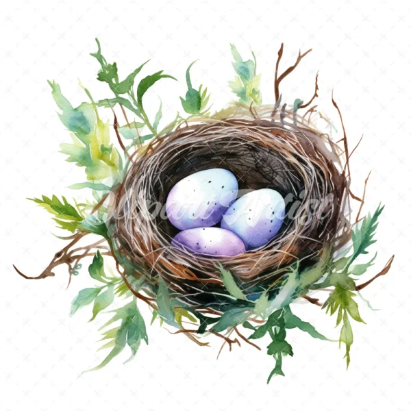 20 High-Quality Bird Nest Clipart - Bird nest digital watercolor JPG instant download for commercial use - Digital download