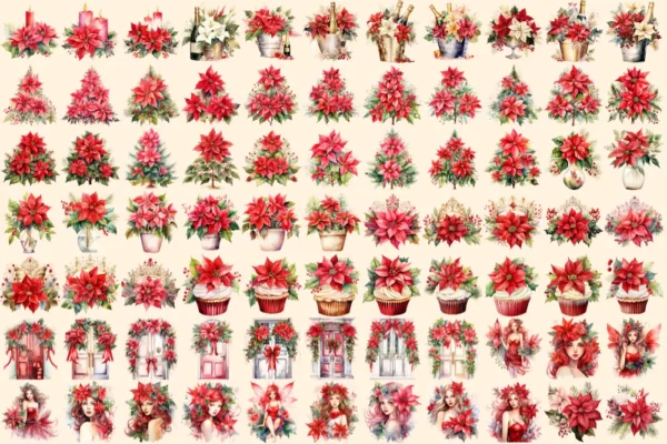 Poinsettias Watercolor Clipart Bundle - 515+ transparent PNG, Festive floral graphics, Poinsettia images, Commercial use, Digital download