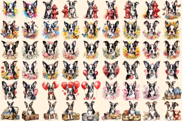 Boston Terriers Watercolor Clipart Bundle - 345+ transparent PNG, Boston puppy illustrations, Cute dog png, Commercial use, Digital download