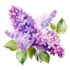20 High-Quality Lilac Clipart - Lilac flower digital watercolor JPG instant download for commercial use - Digital download