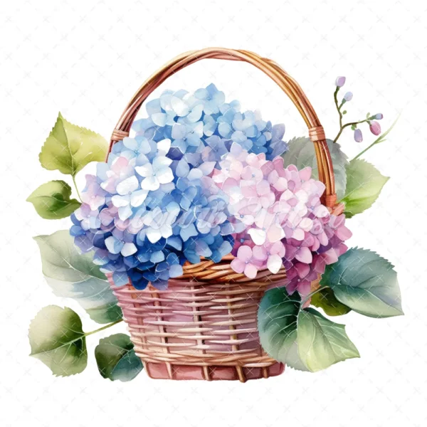 20 High-Quality Hydrangea Basket Clipart - Hydrangea basket digital watercolor JPG instant download for commercial use - Digital download