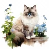 20 High-Quality Ragdoll Cats Clipart - Ragdoll cat digital watercolor JPG instant download for commercial use - Digital download