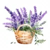 20 High-Quality Lavender Flowers Basket Clipart - Lavender digital watercolor JPG instant download for commercial use - Digital download