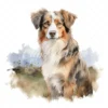 20 High-Quality Australian Shepherd Clipart - Shepherd dog digital watercolor JPG instant download for commercial use - Digital download