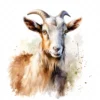 20 High-Quality Kiko Goat Clipart - Kiko goat digital watercolor JPG instant download for commercial use - Digital download