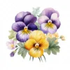 19 High-Quality Pansy Clipart - Pansy flowers digital watercolor JPG instant download for commercial use - Digital download
