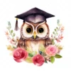 19 High-Quality Graduation Owl Clipart - Graduation owl digital watercolor JPG instant download for commercial use - Digital download