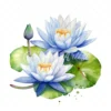 20 High-Quality Water Lily Clipart - Water lily digital watercolor JPG instant download for commercial use - Digital download