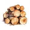 18 High-Quality Chopped Wood Clipart - Chopped wood digital watercolor JPG instant download for commercial use - Digital download
