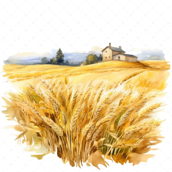 19 High-Quality Wheat Farm Clipart - Wheat farm digital watercolor JPG instant download for commercial use - Digital download