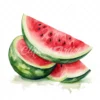 20 High-Quality Watermelon Clipart - Watermelon digital watercolor JPG instant download for commercial use - Digital download