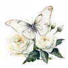 19 High-Quality White Butterfly Rose Clipart -White Butterfly digital watercolor JPG instant download for commercial use - Digital download