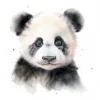 20 High-Quality Baby Panda Portrait Clipart - Panda Portrait digital watercolor JPG instant download or commercial use - Digital download