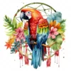 20 High-Quality Parrot With Dreamcatcher Clipart - Parrot digital watercolor JPG instant download for commercial use - Digital download