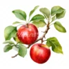 19 High-Quality Apples on Branch Clipart - Apple Barbecue digital watercolor JPG instant download for commercial use - Digital download