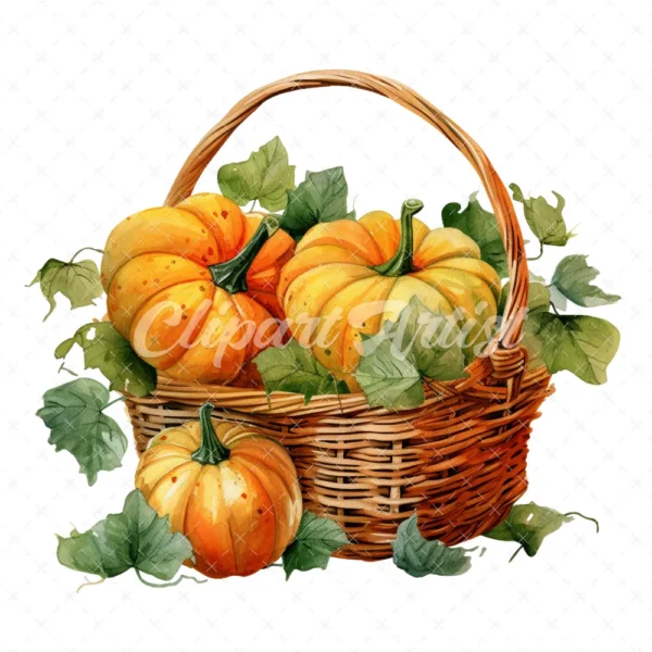 20 High-Quality Pumpkin Basket Clipart - Pumpkin basket digital watercolor JPG instant download for commercial use - Digital download