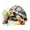 20 High-Quality Cute Tortoise Clipart - Cute tortoise digital watercolor JPG instant download for commercial use - Digital download