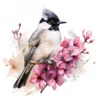 20 High-Quality Floral Whiskered Bulbul Clipart - Bulbul digital watercolor JPG instant download for commercial use - Digital download