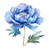 20 High-Quality Blue Peony Clipart - Blue peony flower digital watercolor JPG instant download for commercial use - Digital download