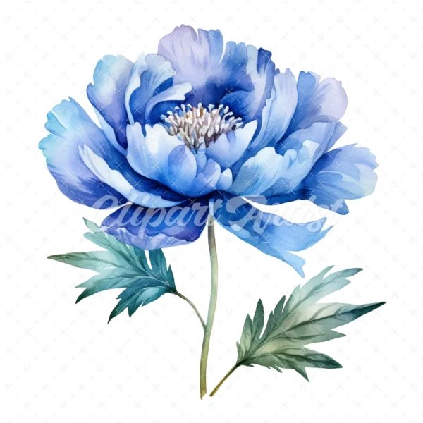 20 High-Quality Blue Peony Clipart - Blue peony flower digital watercolor JPG instant download for commercial use - Digital download